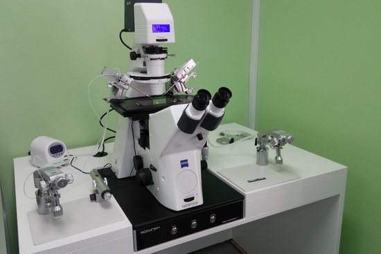 У нас появился новейший микроскоп от компании Carl Zeiss!