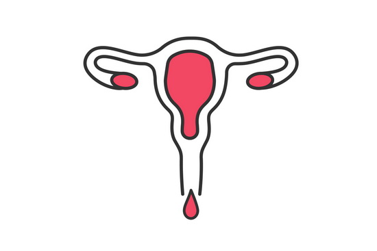 Всё о менструации: подробный гайд от клиники Euromed In Vitro